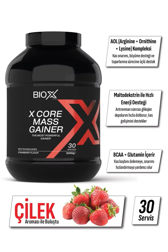 BIOX X-CORE WHEY PROTEIN ÇILEK AROMALI 2380GR 